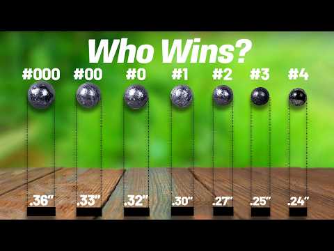 Top 5 Best Shotgun Ammo For Home Defense