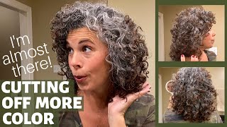 MY TRANSITION TO GRAY HAIR AT 17 MONTHS ~ GOING GRAY WITH CURLY HAIR