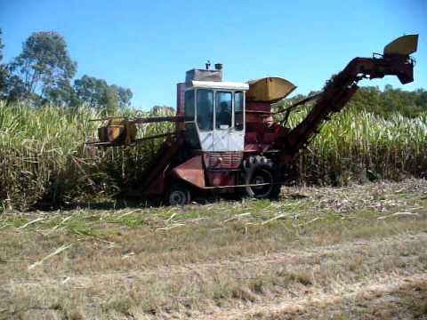 polstone sugar farm in mackay