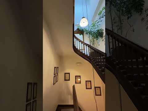 Vidéo