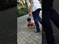 Kareena S Little One Jeh Ali Khan Wants To Play With Our Paps Jehalikhan
