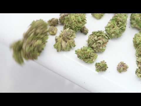 Twister T2 - Overview