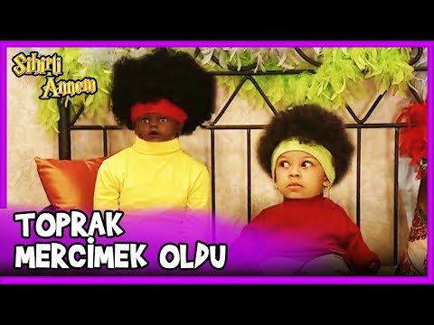 Toprak, Mercimek'le Kopyasını Ters Yaptı! - Sihirli Annem 73. Bölüm