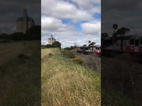 TRAINS AM22 SCT 1PM9 SCT015 SCT006 CSR009 CSR007 Full length at Murray Bridge 22/09/21