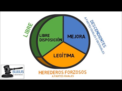 DESHEREDAR A UN HIJO EN 2022: ¿ES POSIBLE?