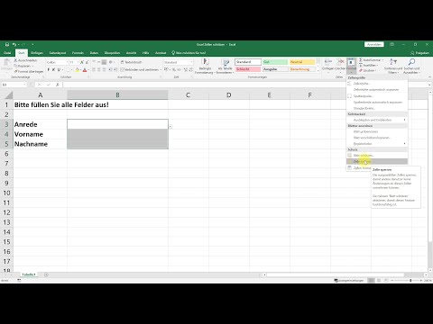 Zellen sperren – Excel-Tutorial