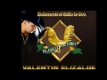 Cuatro meses - Valentin Elizalde