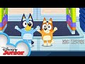 Bluey Season 3 Episode 45 TV Shop Episode Clip Disneyjr