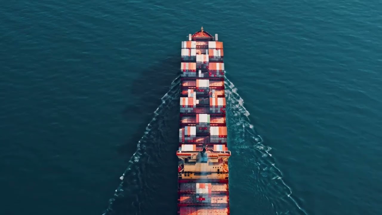 WADS Final Project Even 2024 Demo Video – MOFERA