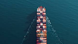 WADS Final Project Even 2024 Demo Video – MOFERA