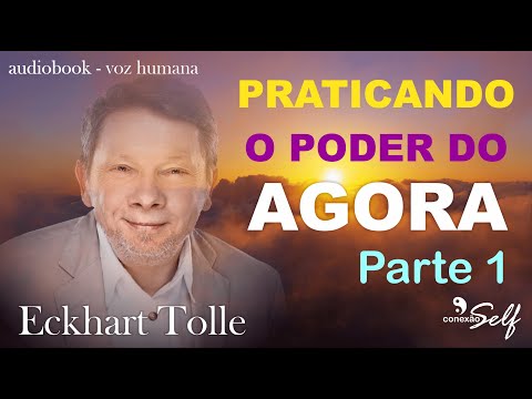 PRATICANDO O PODER DO AGORA - Eckhart Tolle - Parte 1 [ Audiolivro ]