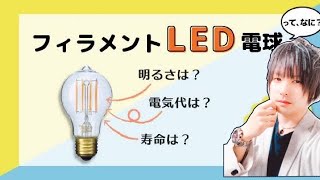 【超長持ち！電気代90％節約】エジソン球スタイルLEDフィラメント1500lmが凄い！！Electricity bill 90% saving Edison sphere style LED