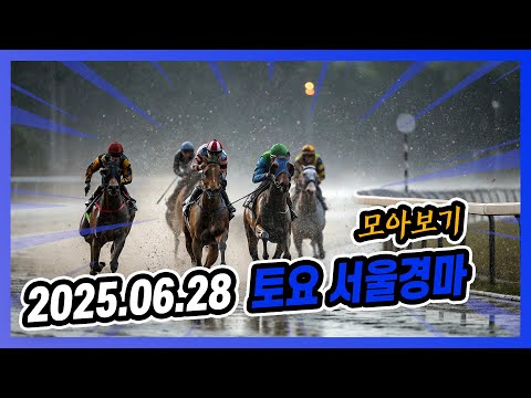 2025년 6월 28일 토요 서울경마 전체경주 모아보기