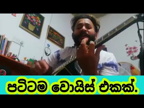 Boho kalak live sing new video