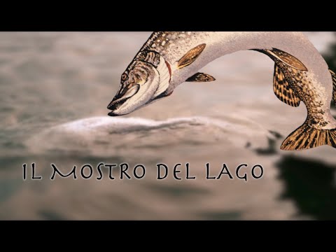 IL MOSTRO DEL LAGO ( luccio enorme ) CALA FOMA