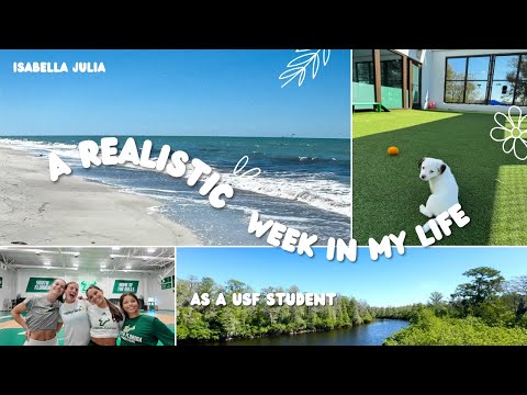a realistic week in my life as a college student at USF