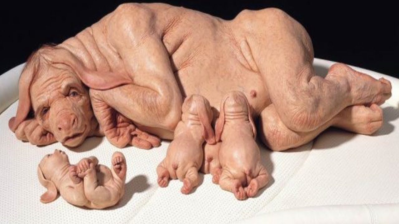 10 Most BIZARRE Creatures Created By Science!