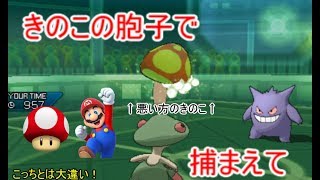 ポケモンusm 対策必須 たすきキノガッサ無双 تنزيل الموسيقى Mp3 مجانا ポケモンusm 対策必須 たすきキノガッサ無双 تنزيل الموسيقى Mp3 مجانا