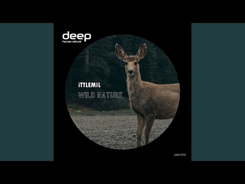 Wild Nature