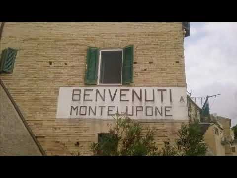 Montelupone