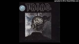 Download lagu T.R.I.A.D - Selir Hati - Composer : Ahmad Dhani 2010 (CDQ) mp3