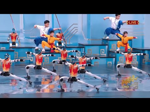 Unvergessliche Momente der Frühlingsfest-Gala 2026: MARTIAL ARTS ROBOTS