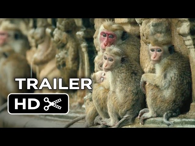 Monkey Kingdom Official Trailer #1 (2015) - Disneynature Documentary HD