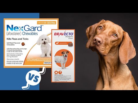 Nexgard vs Bravecto