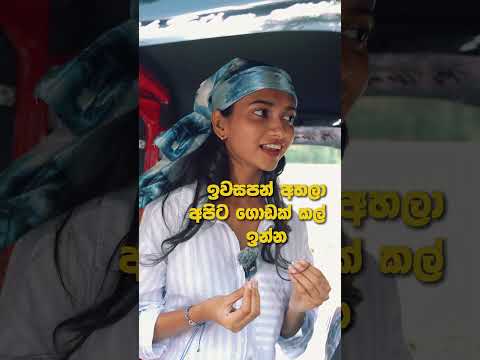 ඒ කාලේ මතක අයට අලුත් වැඩක් 🎶 #srilankanmusic #iwasapan #chaniwasapan #sinhalasongs #fyp #slmusic