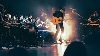 La iaia XXL (amb la cobla Bisbal Jove) - L'arbre que vol ser humà