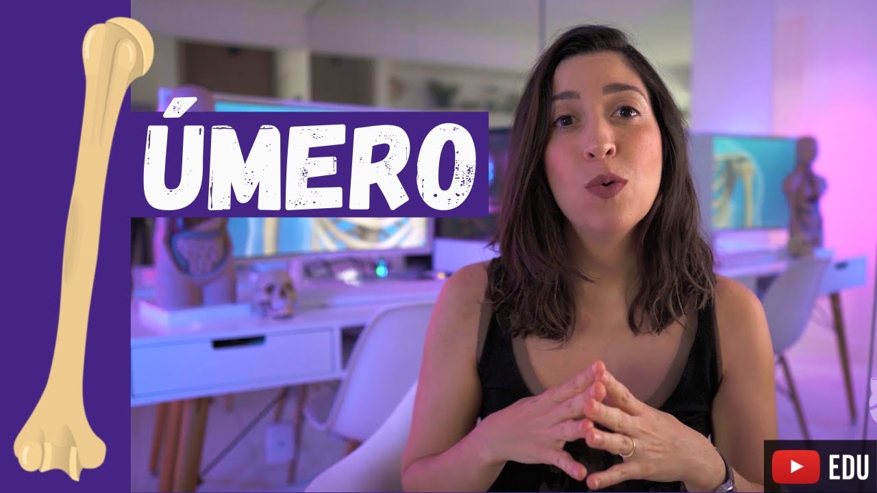 ANATOMIA do ÚMERO: acidentes ósseos e inserções musculares