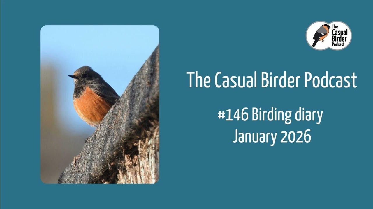 146 Birding Diary - January 2026