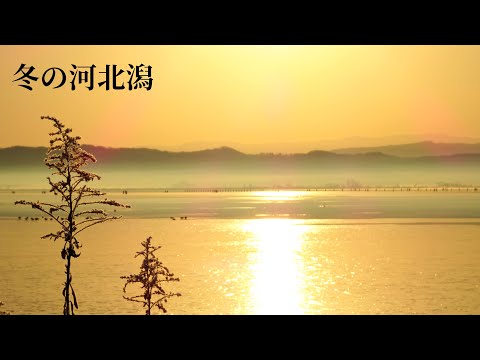 冬の河北潟 Winter on the Kahoku Lagoon