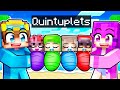 Adopting QUINTUPLETS In Minecraft
