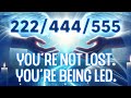 What 222 444 And 555 Are Saying About Your Next Step Angel Number Messages You Can T Ignore