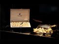 THE 20TH HABANOS FESTIVAL LAUNCHES THE WORLD&rsquo;S MOST EXCLUSIVE CIGAR