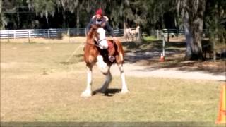 Practice makes perfect - The early Days!