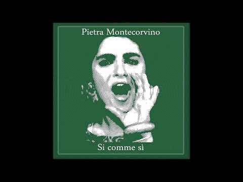 Promo - Pietra Montecorvino and the Officinalis  -  si comme si' - 7 inch limited