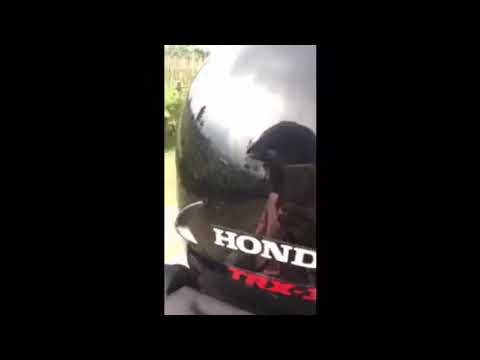 Trip Panorama Argo Sido Mukti