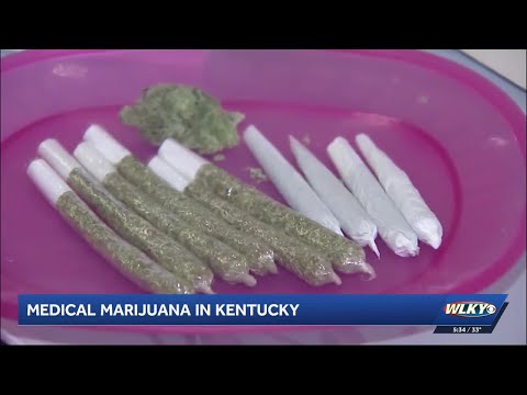 Gov. Beshear Gives Medical Marijuana Update for Kentucky