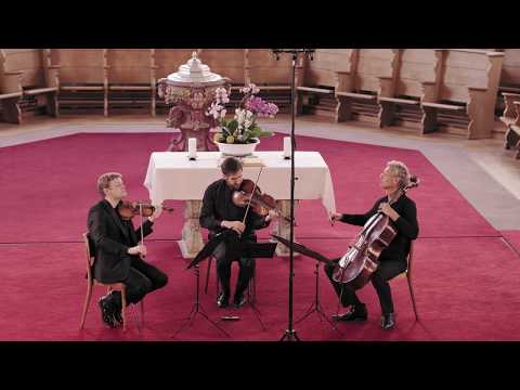 Trailer: Mozart Divertimento KV 563