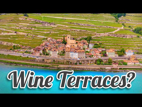 Magical LAVAUX - The Swiss Wine Terraces [Travel Guide] Saint-Saphorin Town - Lake Geneva Vineyards