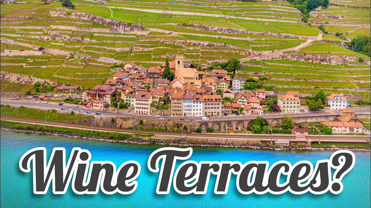 Join a traveler on a captivating journey through the Lavaux vineyard terraces.