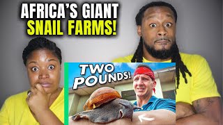 🇬🇭  How Eating Snails Could Save Africa's Bush Animals!! | The Demouchets REACT