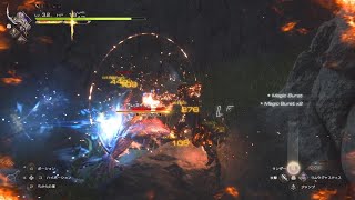 【ショート実況】敵のHPゲージ表示に関する挙動検証＆リスキーモブ討伐戦②