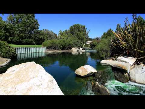 Stay the Night Timelapse - Ryan Killackey