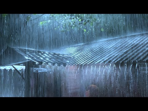 Defeat Insomnia in 3 Minutes with Heavy Rainstorm & Thunder Bombarded on a Tin Roof in Park at Night