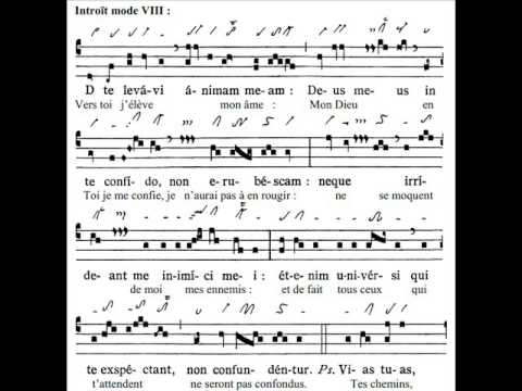 Introitus Ad te levavi, Dominica I Adventus (1 Avent)