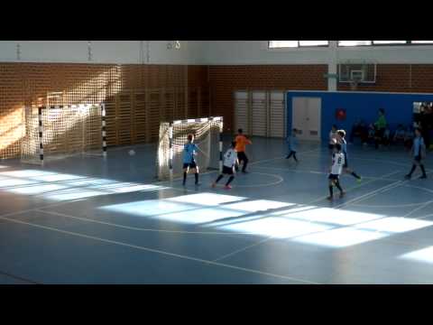 PRIMOŠTEN - CRNICA 2, tići, 21.12.2014.