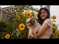 Abdul Hannan Rovalio Iraaday Official Music Video